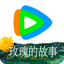 公主承欢将军
